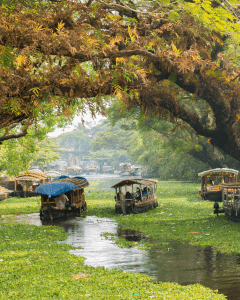 Kerala-Gallery