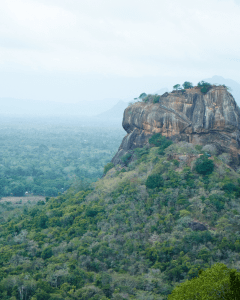 Srilanka-Gallery (2)